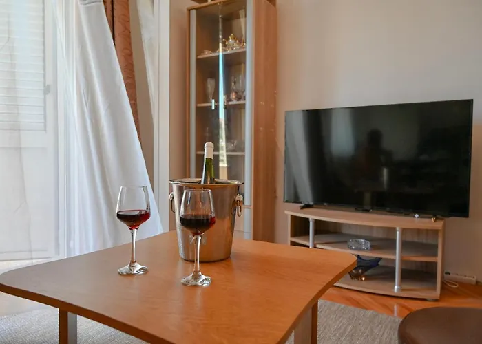 Apartment Damir